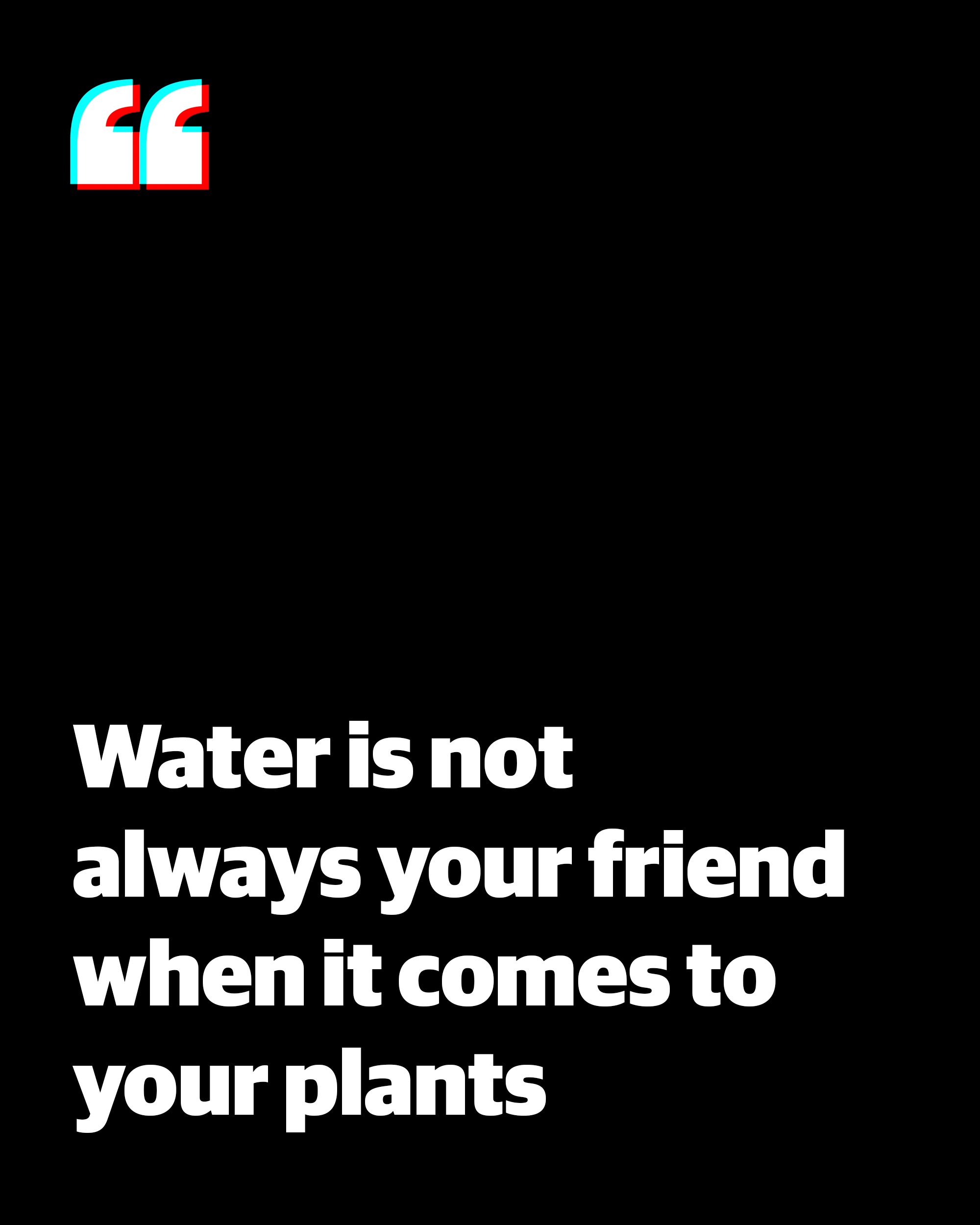 Quote:'Water is not always your friend when it comes to your plants'
