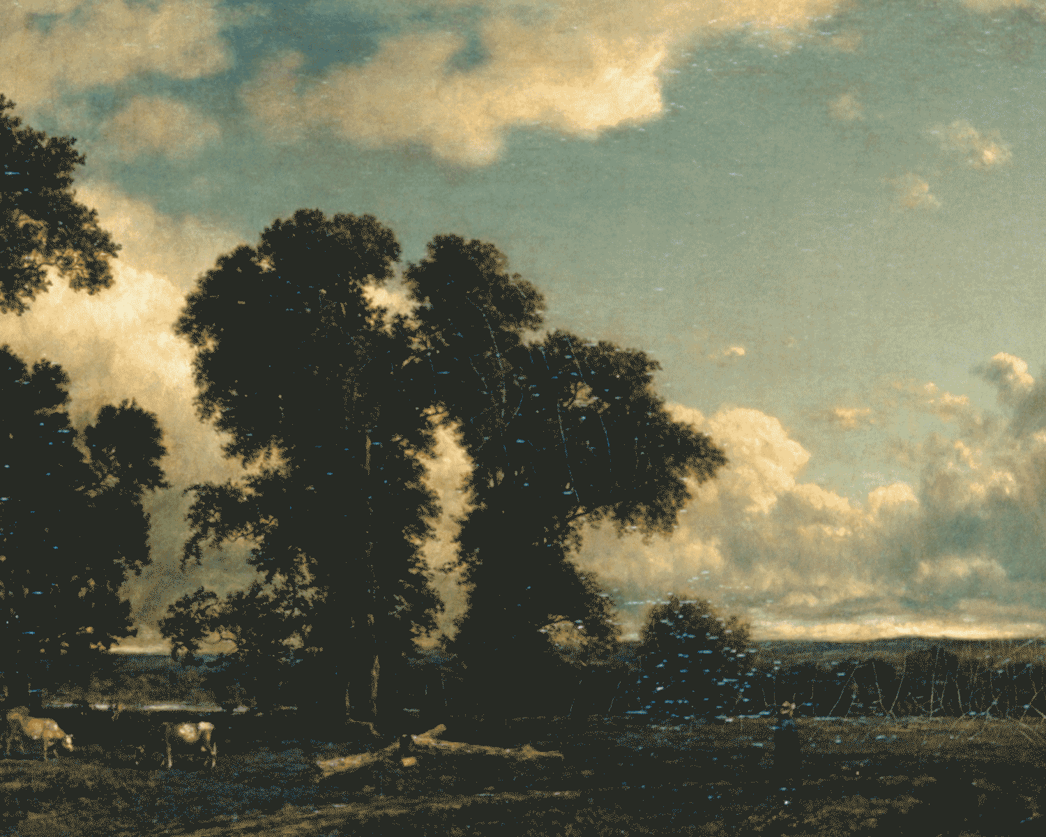 gif of text set against screen background of trees and sky